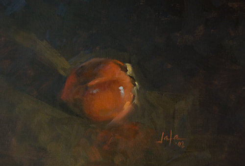 Persimmon-2-albumB.jpg